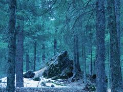 -天山天池风景区-西王母祖庙