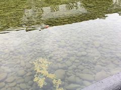 -泸州老窖景区