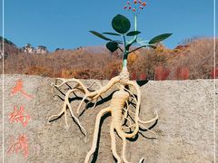 -丹东天桥沟景区