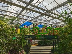 -南宫五洲植物乐园