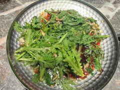 -禄婶鸡煲·打边炉