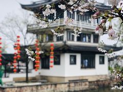 -无锡蠡湖国家湿地公园-蠡园