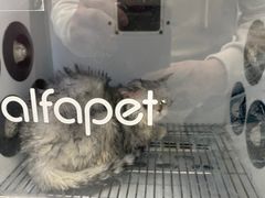 -瑞鹏宠物医院·爱宠堂·骨外专科(西荷分院)