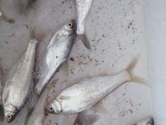 -南京金牛湖风景区