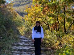 -阳台山自然风景区