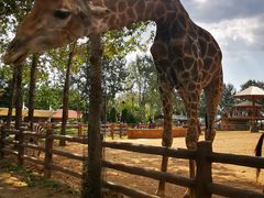 -大连森林动物园