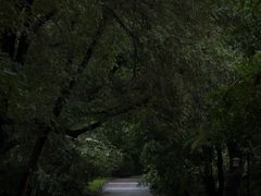 -北陵公园