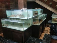 -樱之盛宴·蟹料理海鲜自助(前进大街店)