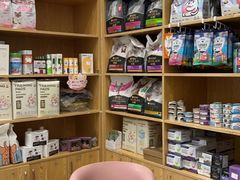 -宠颐生宠物医院·异宠猫科内科·诊疗中心宠巢店