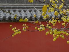 -万寿八仙宫