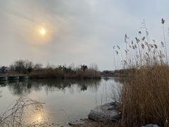 -南湖国家城市湿地公园