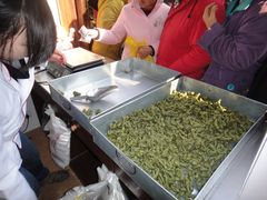 海苔味的油赞子-南塘油赞子(南塘店)