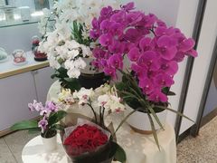 -EPOQUE·一刻花店(兴业太古汇店)