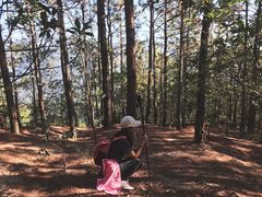 -皇鸽餐厅(五桂山分店)