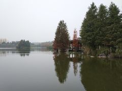 -浙江农林大学(东湖校区)