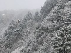 -老界岭旅游度假区