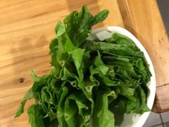 -万鼎沸菌汤火锅(柘城店)