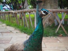 -昆明动物园