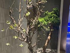 -京采烤鸭清真餐厅(金桥店)