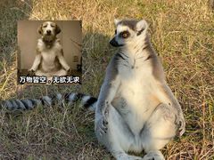 -杭州野生动物世界