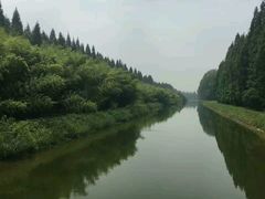 -黄海国家森林公园