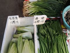 -利苑酒家(合景国际金融广场店)