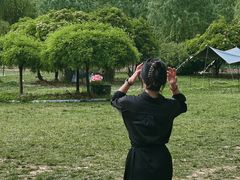 -洛阳郁金香牡丹园