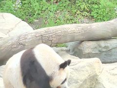 -宁波野生动物园