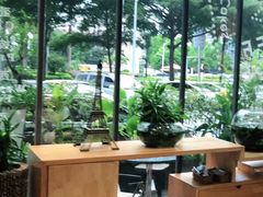 -倾城密码(大唐店)