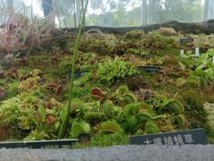 -国家植物园南园