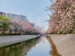 -大望京公园