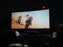 -枫花园汽车电影院(朝阳公园店)