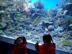 -常州海昌海洋探索馆
