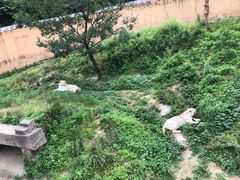 -宁波野生动物园