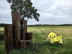 -阳澄湖半岛旅游度假区
