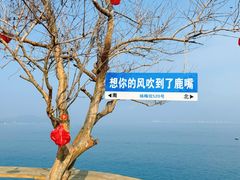 -杨梅坑