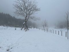 -武陵山森林公园