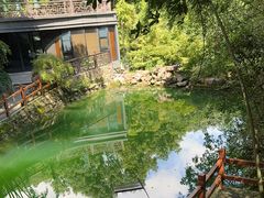 -十八棵（老龙井）御茶园(老龙井店)