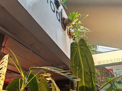 -nodcafe(M50创意园店)
