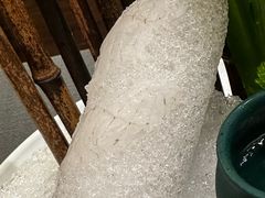-沈灶河豚宴·河豚融合餐厅(汉中路店)