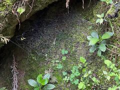 -咸丰县唐崖河景区