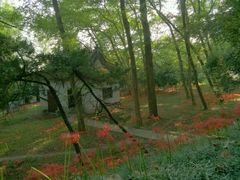 -采石矶景区