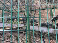 -藏龙百瀑风景区