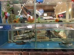 -红叶日料·放题·海胆·定食(星海店)