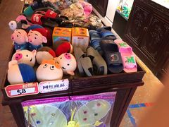 -厦门方特梦幻王国