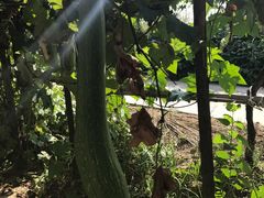 -乡乐园蟹庄·阳澄湖农家乐