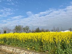 -中国天府农业博览园