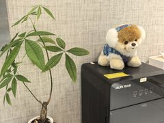 -TSK齿科德申会口腔门诊·联洋诊所