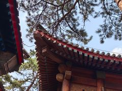 -承德避暑山庄景区