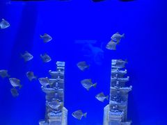 -南昌融创海世界